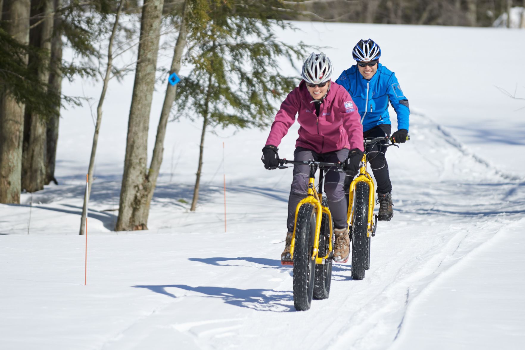 Horseback Riding and Fat Tire Biking